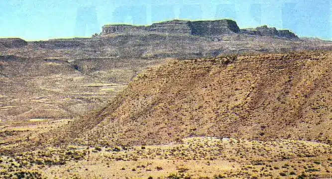 Amba aradam