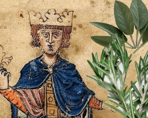 esperimento federico ii