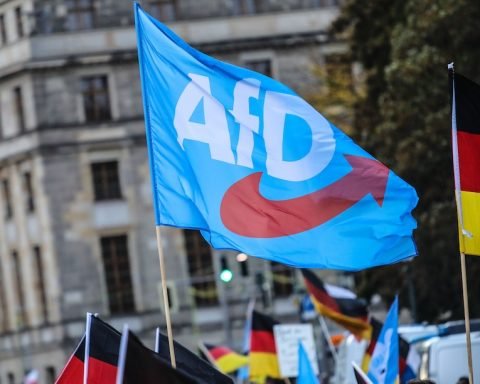 AfD estremismo Germania